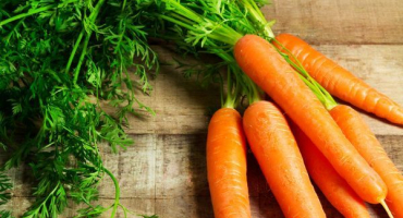 Jak správně krmit mrkev pro růst na otevřeném poli lidovými prostředky